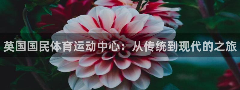 蚂蚁体育是正品吗：英国国民体育运动中心：从传统到现代的之旅