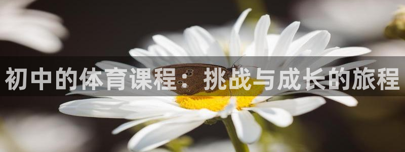 蚂蚁体育下载安装：初中的体育课程：挑战与成长的旅程