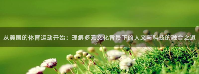 蚂蚁体育直播足球在线观看：从美国的体育运动开始：理解多元文化背景下的人文与科技的融合之道