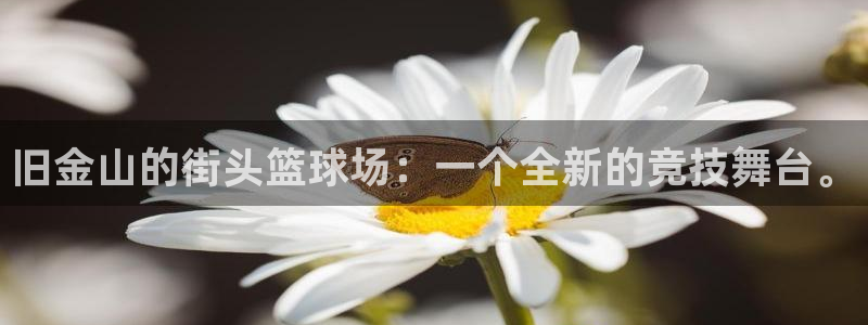 蚂蚁体育苹果版下载：旧金山的街头篮球场：一个全新的竞技舞台。