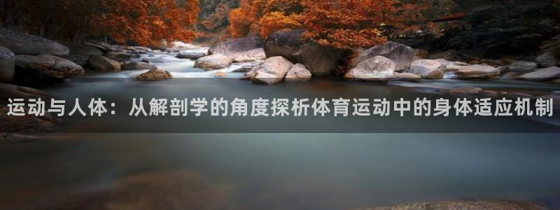 蚂蚁体育能看吗：运动与人体：从解剖学的角度探析体育运动中的身体适应机制