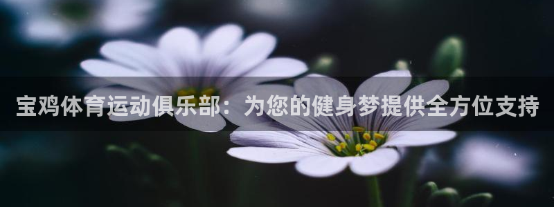 蚂蚁体育篮球：宝鸡体育运动俱乐部：为您的健身梦提供全方位支持