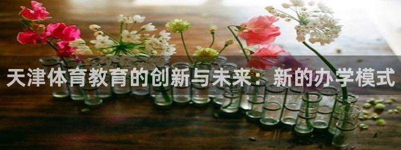 蚂蚁体育直播最新版：天津体育教育的创新与未来：新的办学模式
