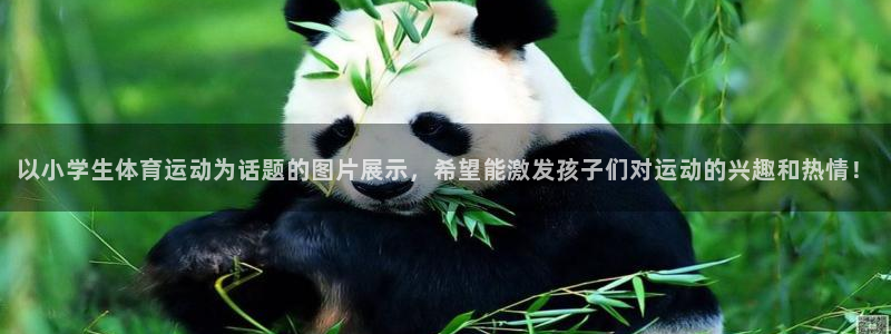 蚂蚁体育直播足球在线观看：以小学生体育运动为话题的图片展示，希望能激发孩子们对运动的兴趣和热情！