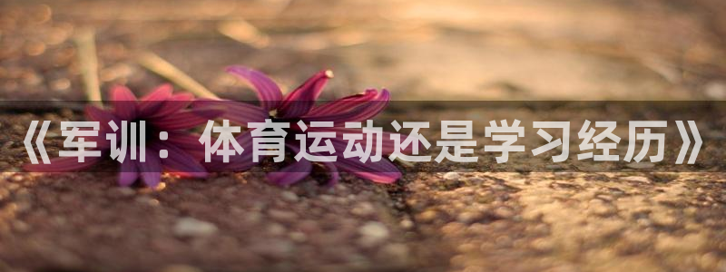 蚂蚁体育能电视投屏么：《军训：体育运动还是学习经历》