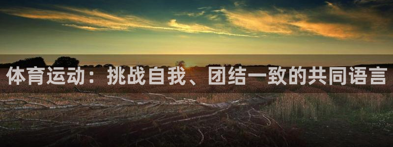 蚂蚁体育免费进入入口：体育运动：挑战自我、团结一致的共同语言