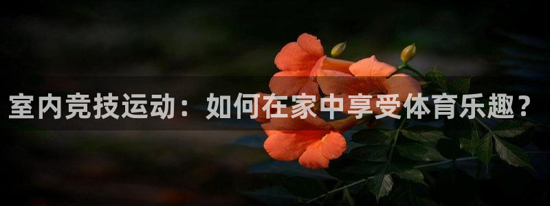 蚂蚁体育看球下载最新版本安装：室内竞技运动：如何在家中享受体育乐趣？