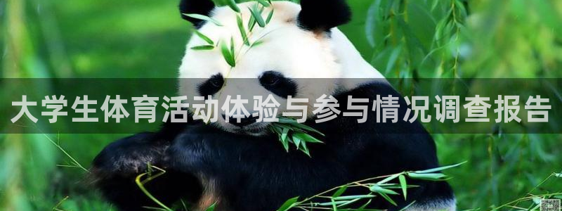蚂蚁体育直播足球在线观看：大学生体育活动体验与参与情况调查报告